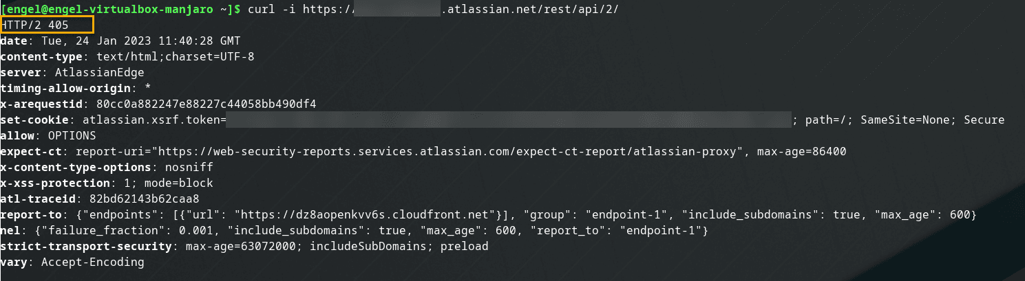 Expected result when using curl