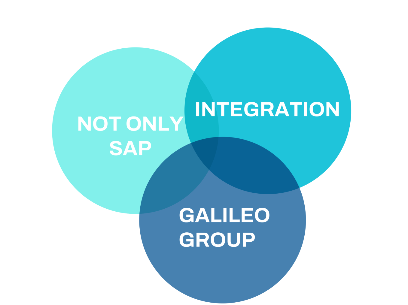 Not only SAP integration Galileo Group